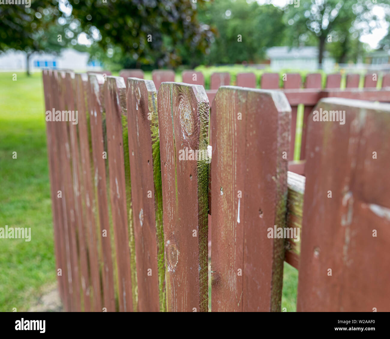 Holz- Privatsphäre Zaun im Hinterhof mit Peeling Lack und Beize. Grüne Algen, Schimmel, Moos auf Zaun Bretter Stockfoto