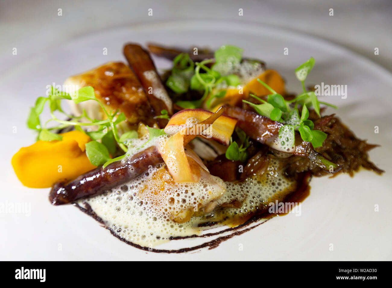 Gemüse der Saison und Salat einen Teller mit zwei Arten von Fleisch, das Kleid. Stockfoto