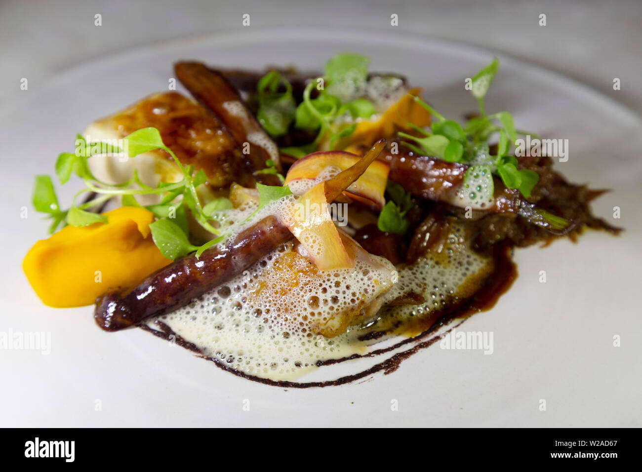 Gemüse der Saison und Salat einen Teller mit zwei Arten von Fleisch, das Kleid. Stockfoto