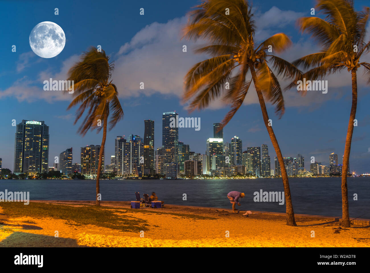 BRICKELL AVENUE Skyline von Downtown Miami Florida USA Stockfoto
