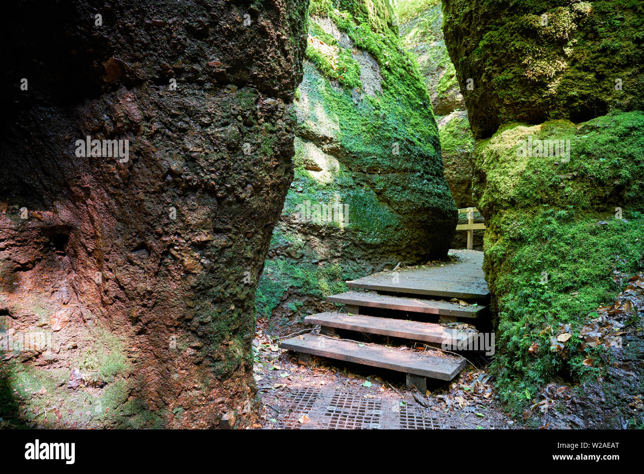 Wanderweg durch den Drachen Schlucht am Fuß der Wartburg bei Eisenach in Thüringen Stockfoto