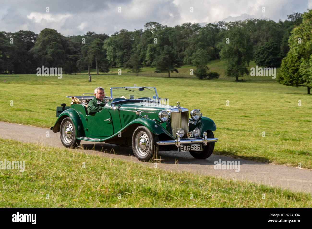 1952 50s Green MG TD/TF bei der Classic Car Rallye - Sonntag, 7. Juli 2019. Mark Woodward’s Mittsommer Classic Car & Bike Show reist nach Carnforth, um weitere Klassiker, historics, Oldtimer-Motoren und Sammlerstücke auf der diesjährigen Leighton Hall Show zu präsentieren, eine Gelegenheit, mehr als 500 Oldtimer bei einer der umfangreichsten und vielfältigsten Shows im Sommer Classic Car Event zu sehen. Stockfoto