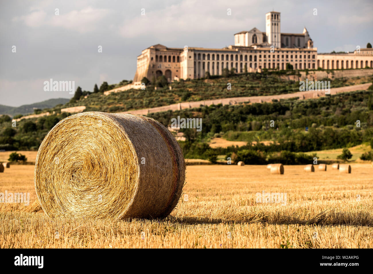 Assisi, Perugia, Umbrien, Italien. Die Riemenscheiben der Weizen geerntet mit der schönen Rundballenpressen in einem Feld unter der Basilika San Francesco. Stockfoto