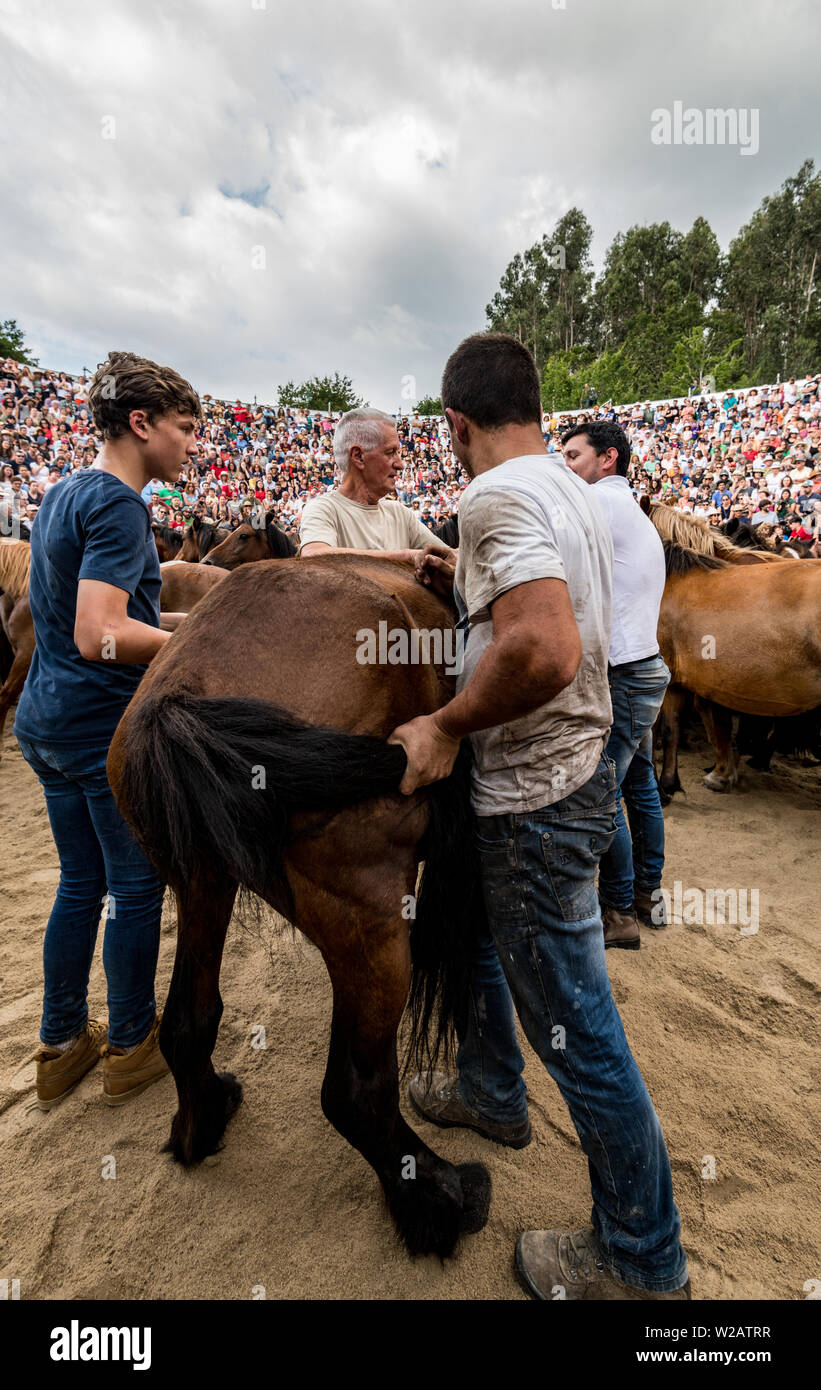 Rapa das Bestas Stockfoto