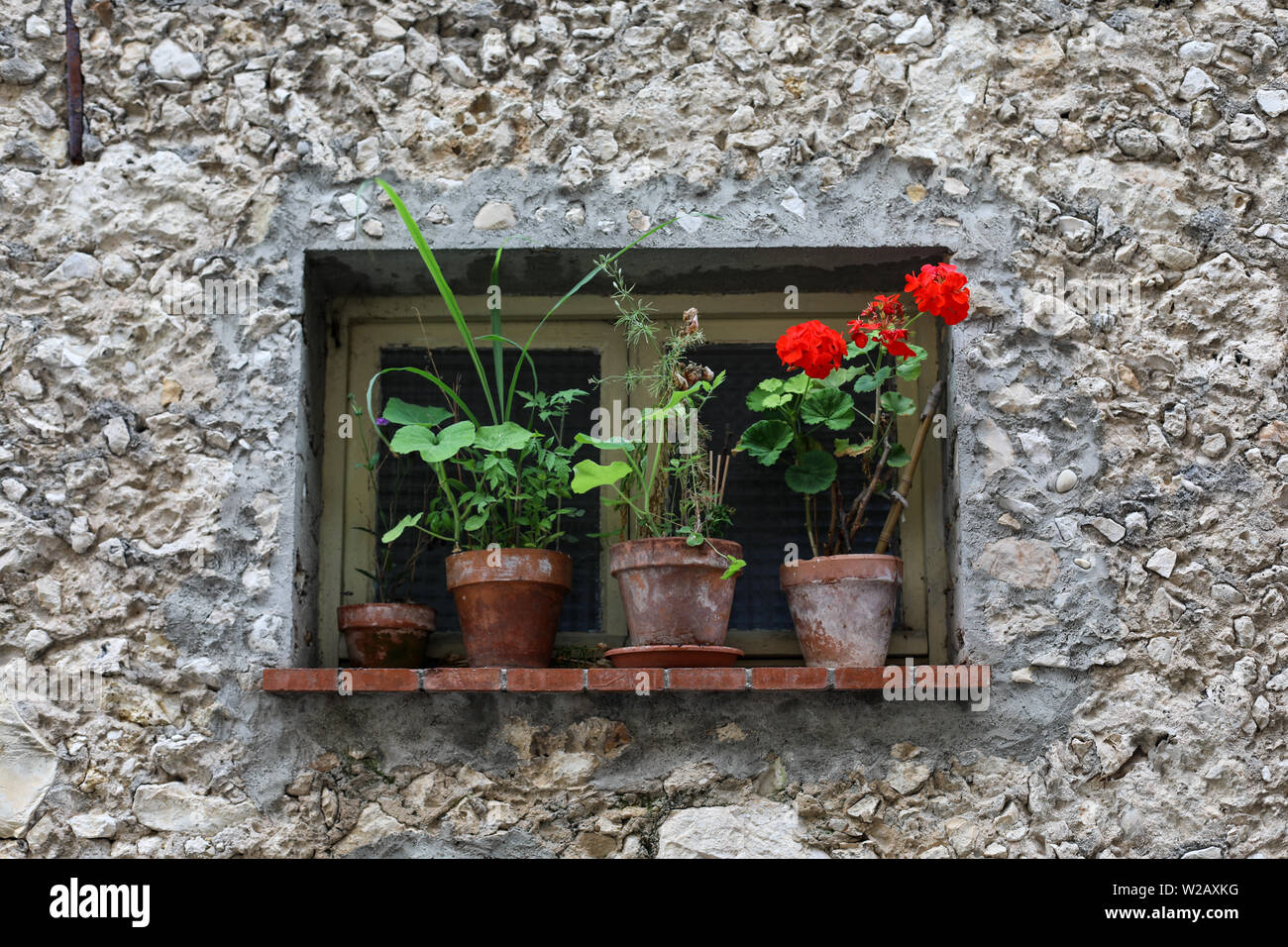 Blumentöpfe auf der Fensterbank in Carros, Frankreich Stockfoto