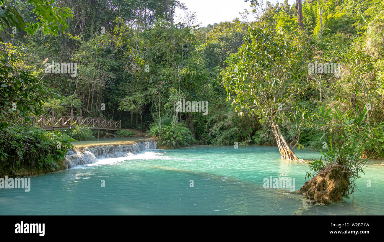 Wasserfall im Regenwald (Tat Kuang Si Wasserfälle in Luang Prabang, Laos). Stockfoto