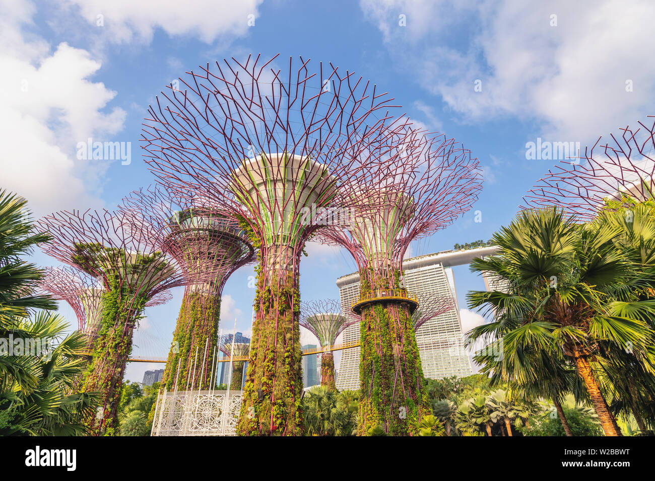 MARINA BAY, Singapore - Januar 6, 2019: Singapur Skyline der Stadt an Supertree Hain von Gärten durch die Bucht Stockfoto