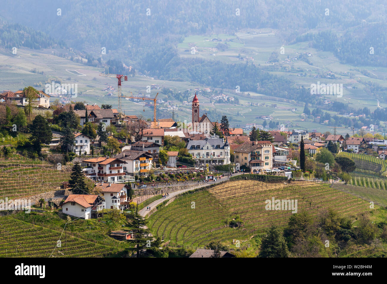Detailansicht auf Dorf Tirol, Dorf Tirol bei Meran im Meraner Land, mit Wein Plantagen und die Alpen im Hintergrund. Provinz Bozen, Südtirol, Italien. Europa. Stockfoto