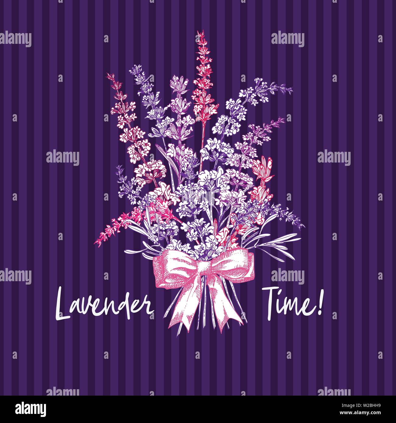 Blumenstrauß aus der Hand Farbe Skizze von Lavendel Blume und niedlichen Schleifchen auf Violett Hintergrund gezeichnet. Frankreich Provence retro Muster für romantische Frische Stock Vektor