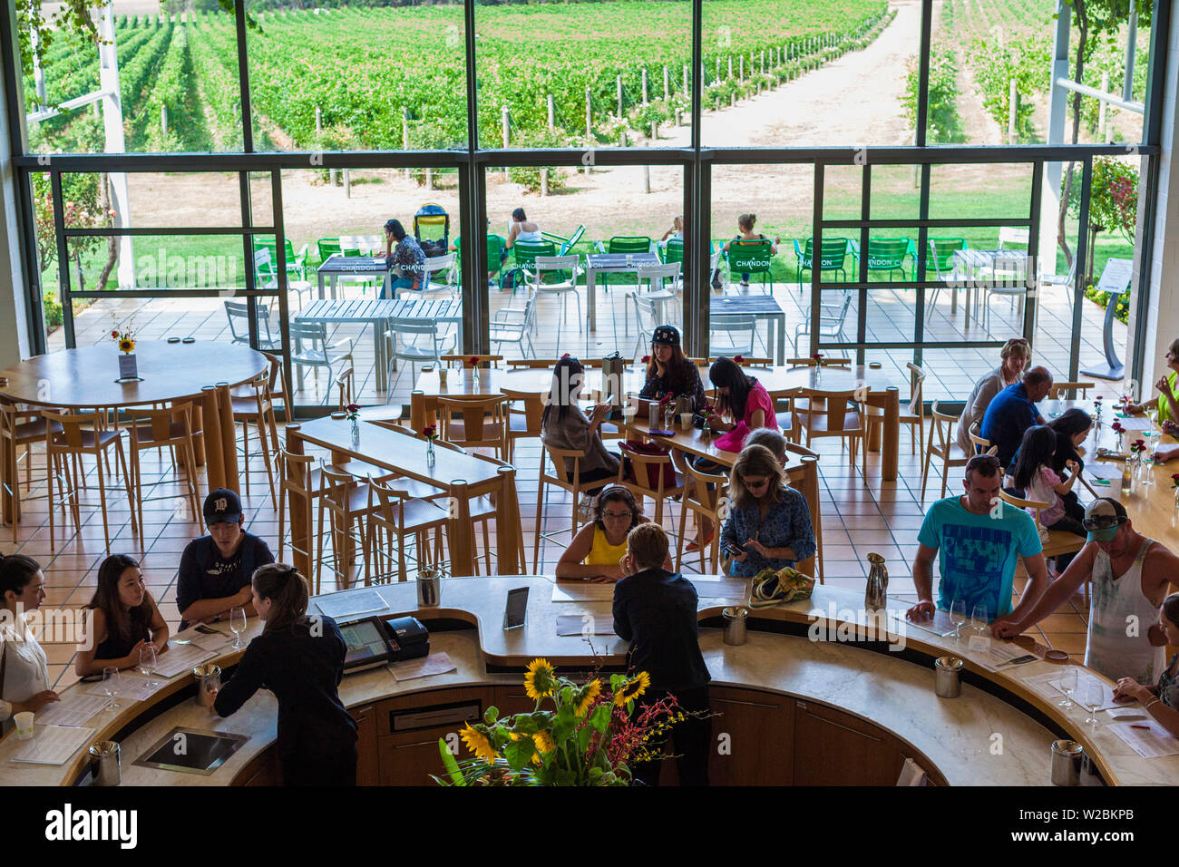 Australien, Victoria, VIC, Yarra Valley, Coldstream, Weingut Domaine Chandon, innen Weinprobe Bereich Stockfoto