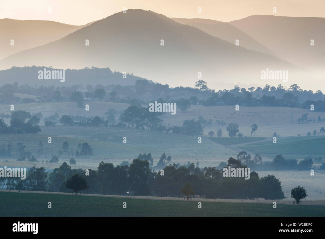 Australien, Victoria, VIC, Yarra Valley, Landschaft, Dämmerung Stockfoto