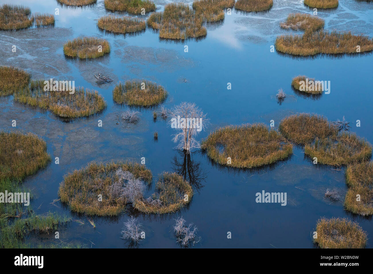 Okavango Delta, Botswana, Afrika Stockfoto