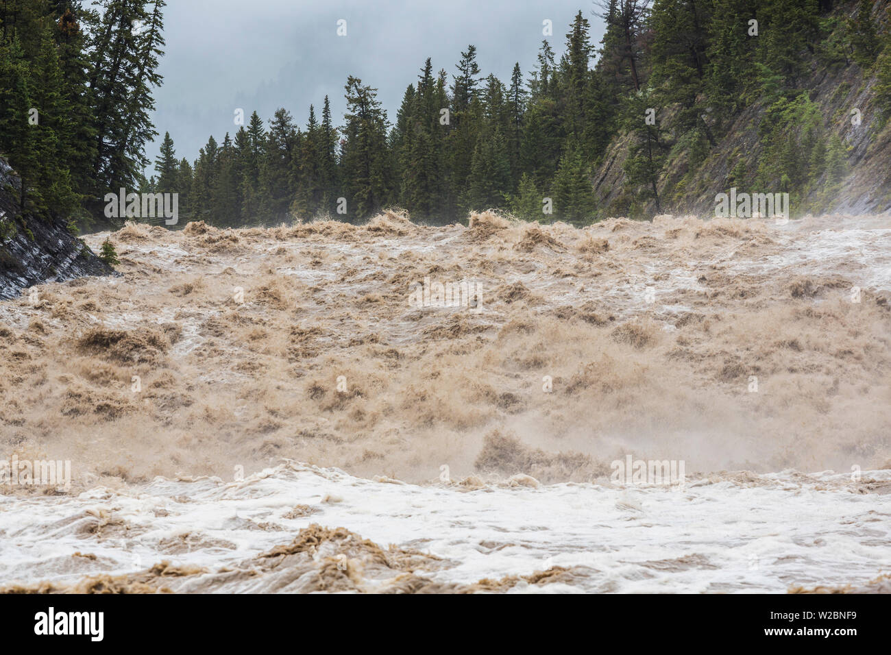 Fluss bei Hochwasser, Banff, Alberta, Kanada Stockfoto