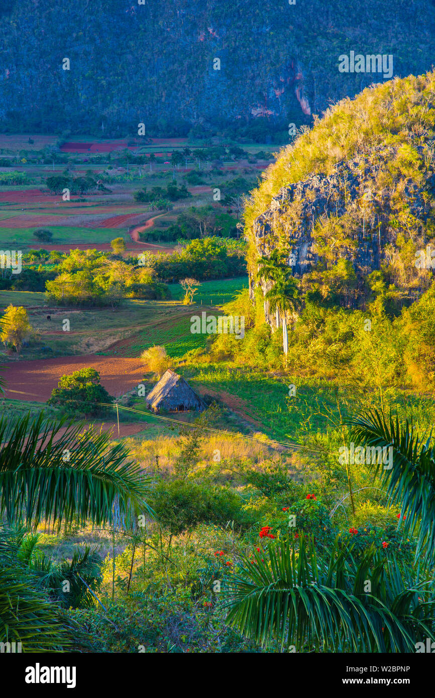 Tal von Vinales, Provinz Pinar del Rio, Kuba Stockfoto