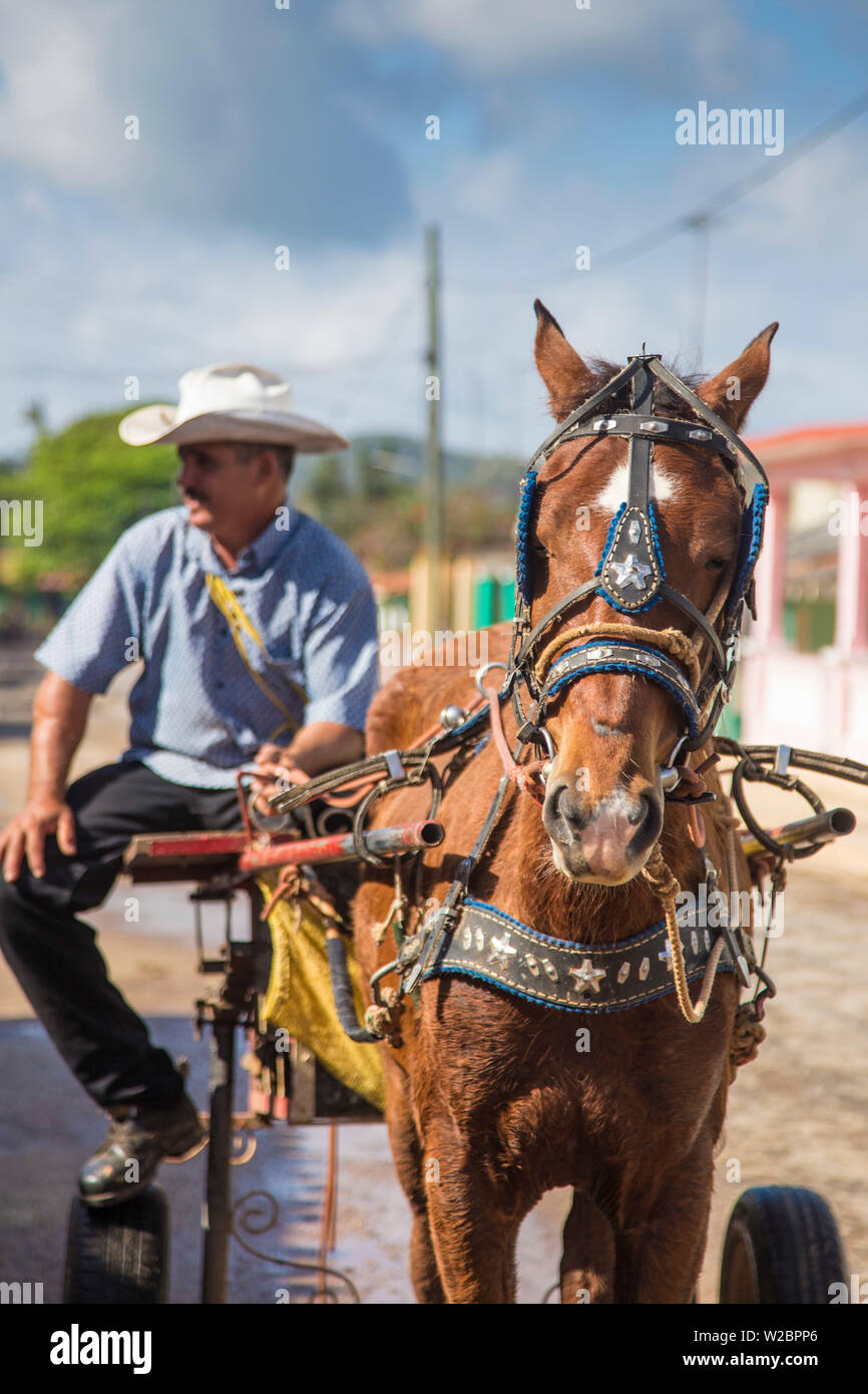 Pferd und Wagen, Vinales, Provinz Pinar del Rio, Kuba Stockfoto