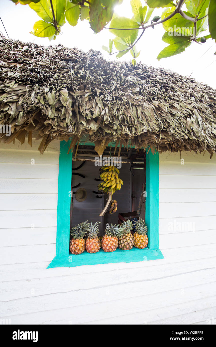 Kleine Hütte zu verkaufen Obst, Vinales, Provinz Pinar del Rio, Kuba Stockfoto
