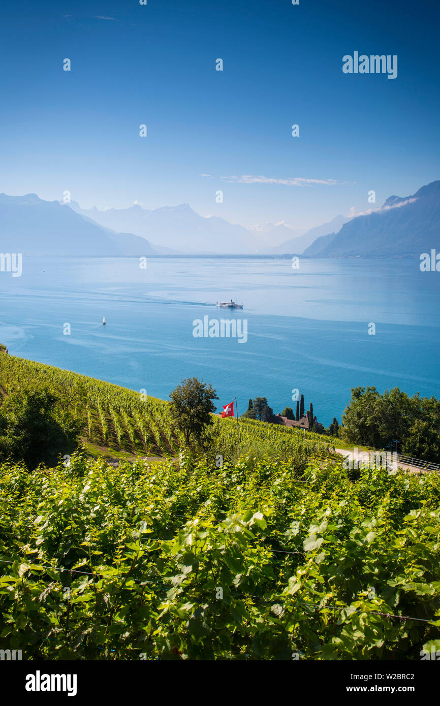 Weinberge oberhalb Vevey, See Genf, Waadt, Schweiz Stockfoto