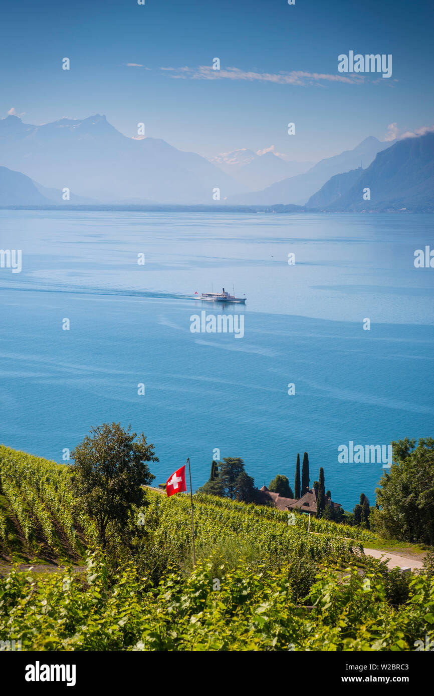 Weinberge oberhalb Vevey, See Genf, Waadt, Schweiz Stockfoto