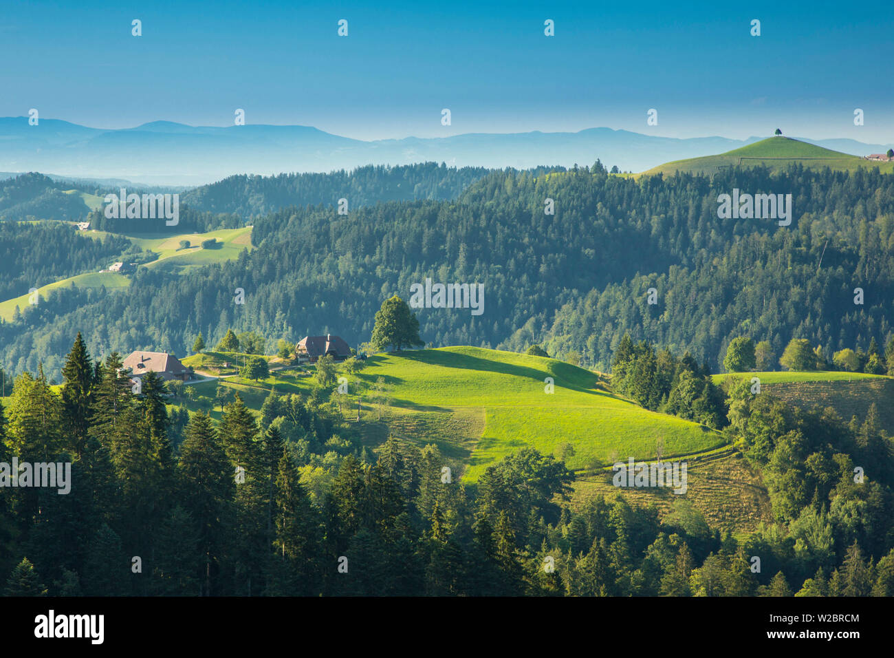 Emmental, Berner Oberland, Schweiz Stockfoto