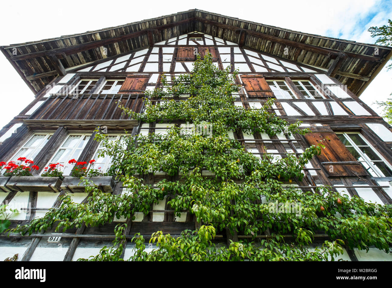 Aus dem Raum Zürich Chalet, Schweizerische Freilichtmuseum, Freilichtmuseum Ballenberg, Berner Oberland, Schweiz Stockfoto