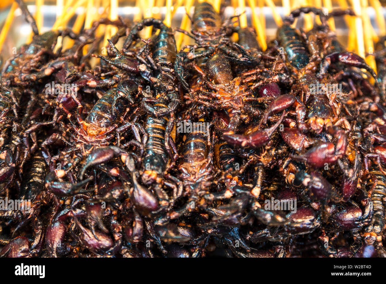 Scorpions auf Stöcke, Donghuamen Nachtmarkt, Wangfujing, Peking, China Stockfoto