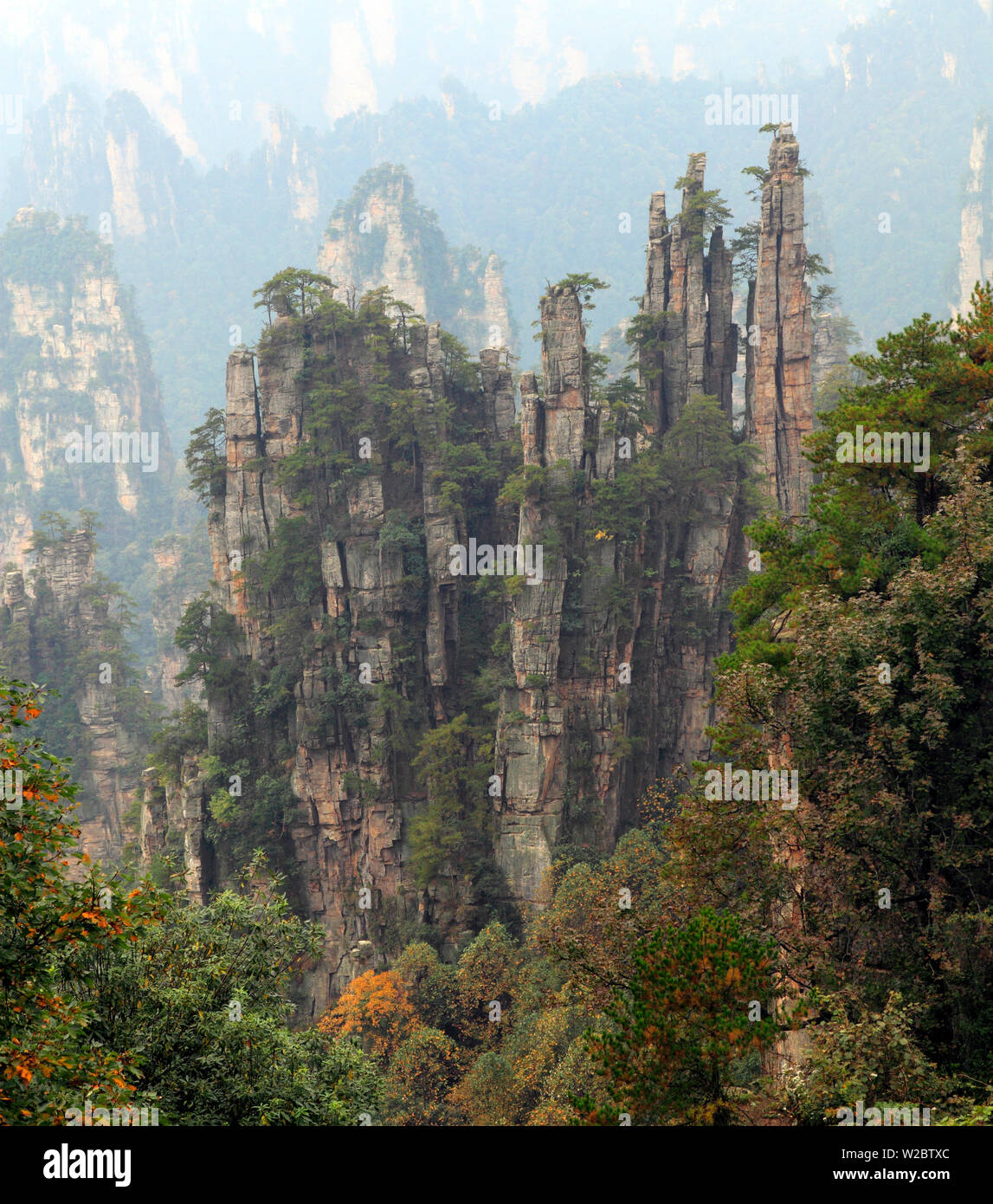 Zhangjiajie National Forest Park, Hunan, China Stockfoto