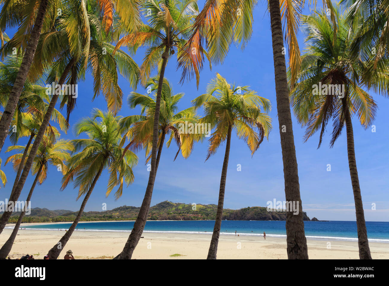 Costa Rica, Guanacaste, Halbinsel Nicoya, Tamarindo, Playa Carillo Stockfoto