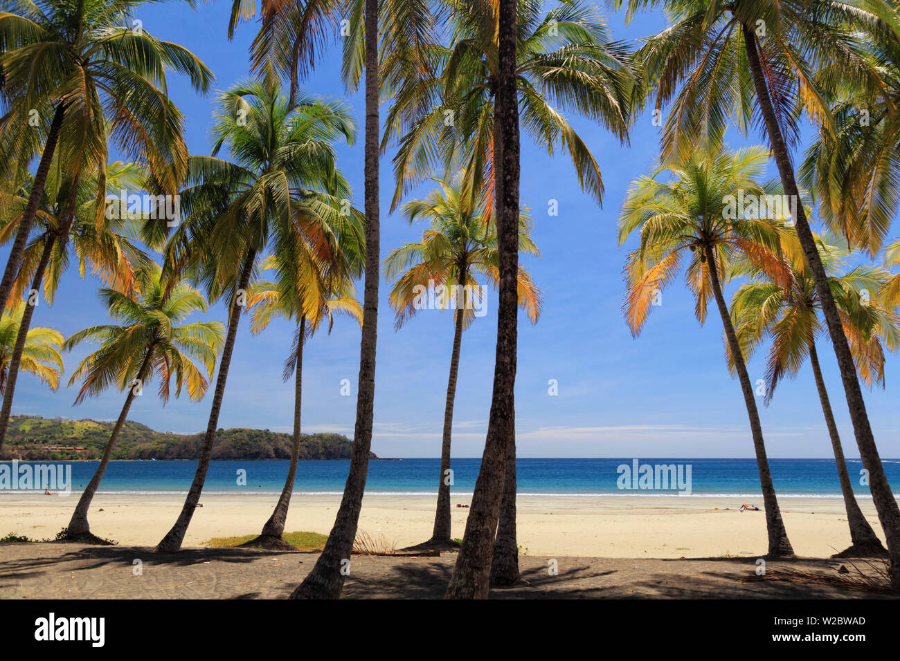 Costa Rica, Guanacaste, Halbinsel Nicoya, Tamarindo, Playa Carillo Stockfoto