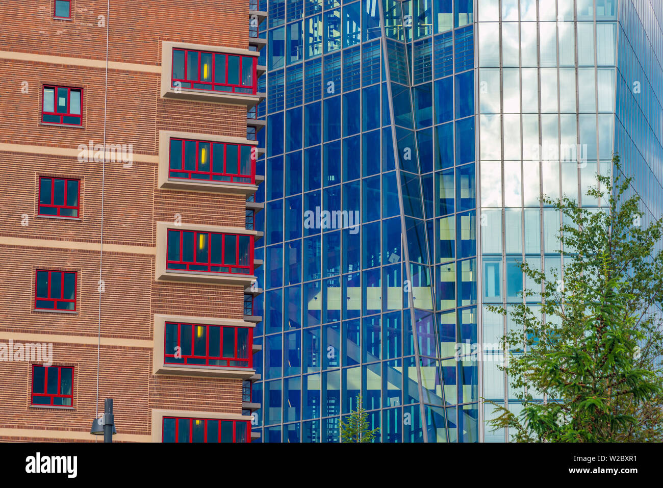 Deutschland, Hessen, Frankfurt am Main, Ostend, neue Europäische Zentralbank Gebäude unter Einbeziehung der alten Großmarkthalle Stockfoto