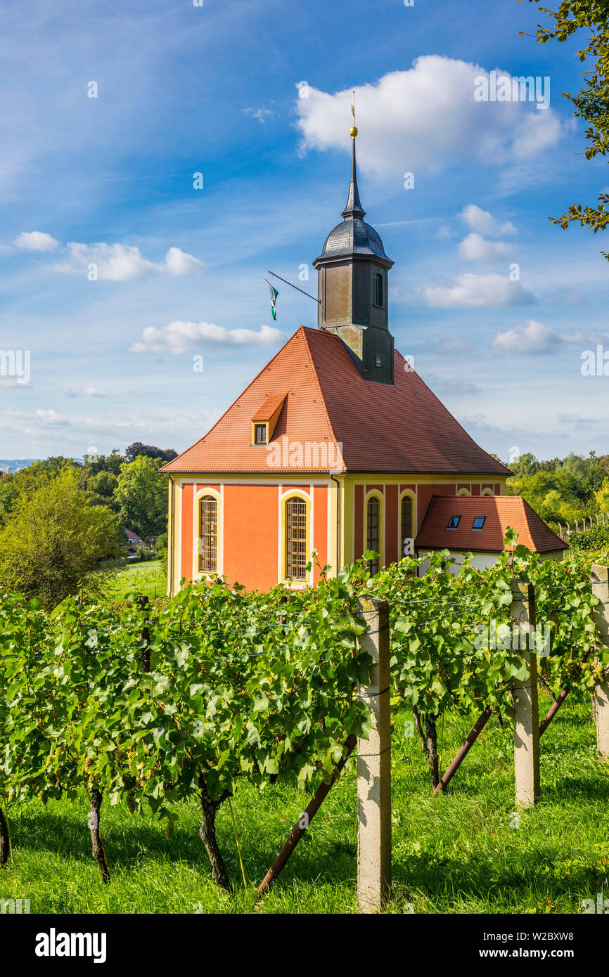 Kapelle und Weinberge in Pillnitz, in der Nähe von Dreden, Sachsen, Deutschland Stockfoto