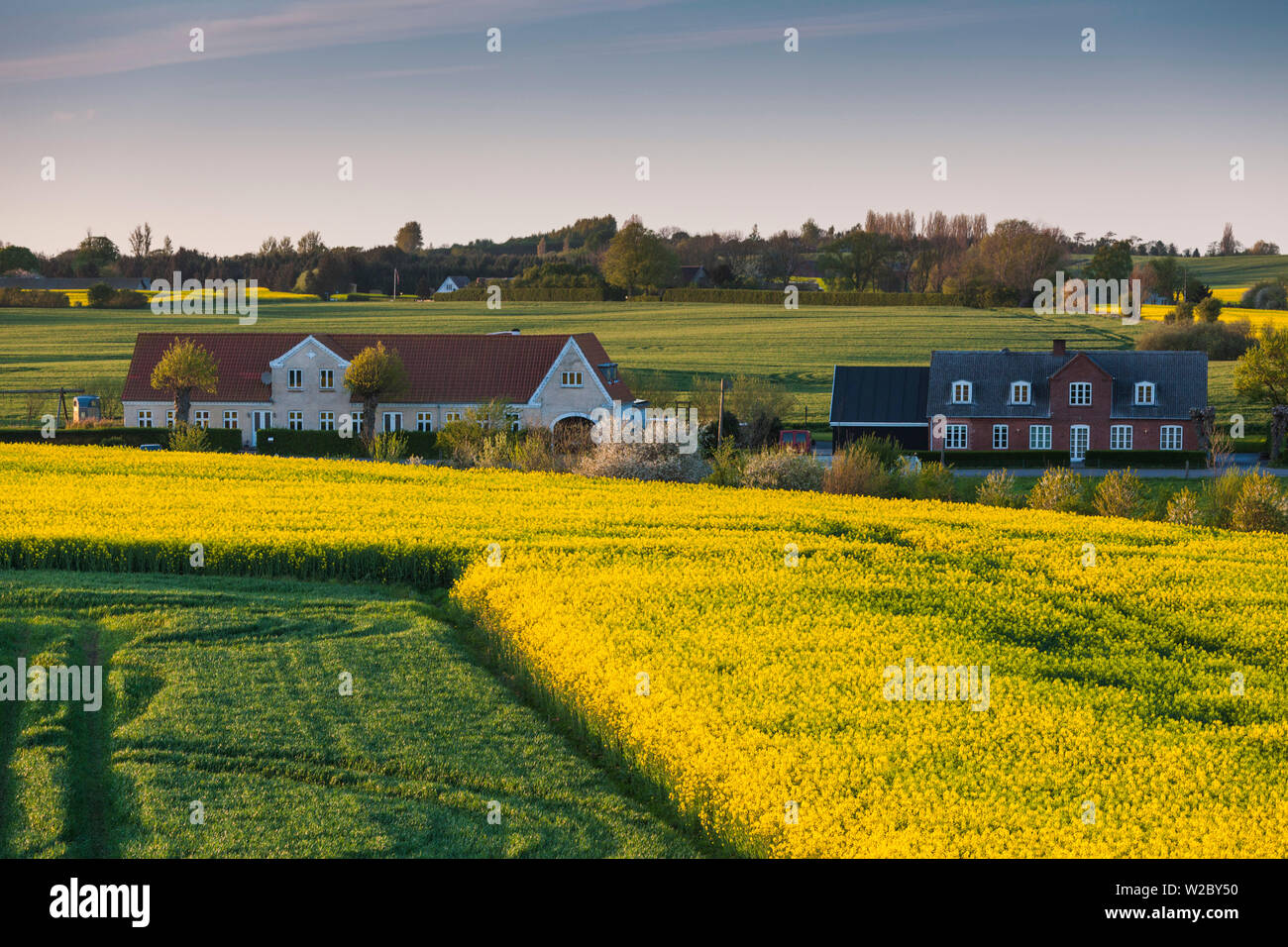 Dänemark, Fünen, Halbinsel Hindsholm, Viby, Erhöhte Ansicht von Bauernhof, Frühling Stockfoto
