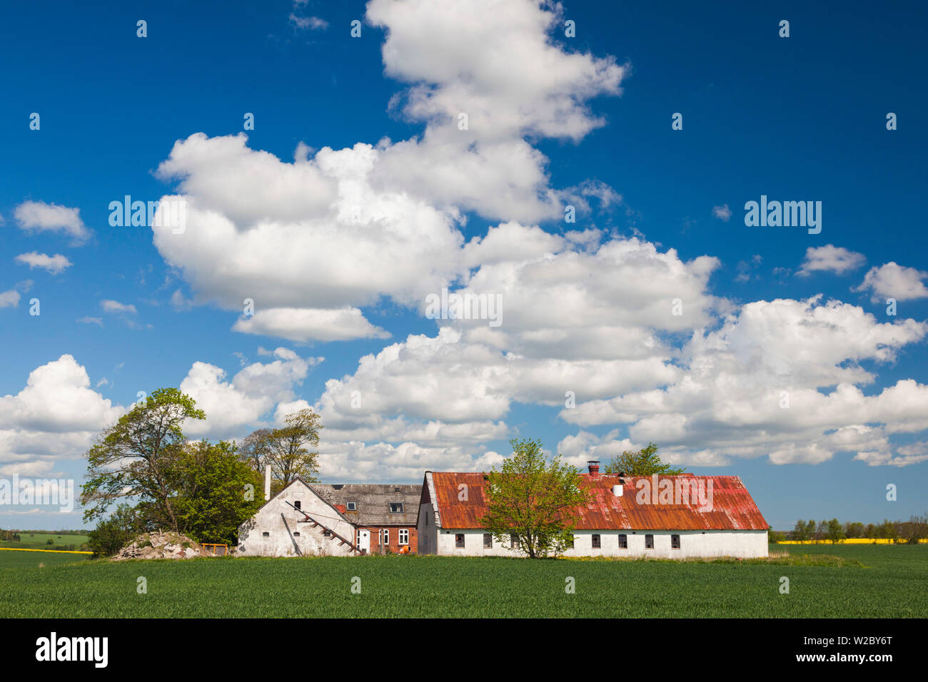 Dänemark, Nordjütland, Odum, Bauernhof, Frühling Stockfoto