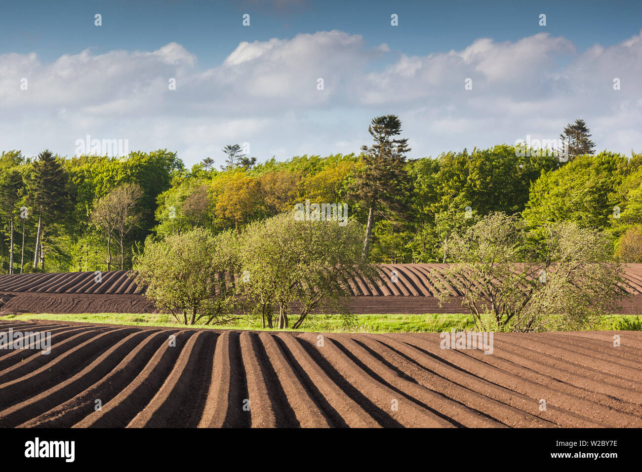 Dänemark, Nordjütland, Tjele, gepflügten Feldes, Frühling Stockfoto