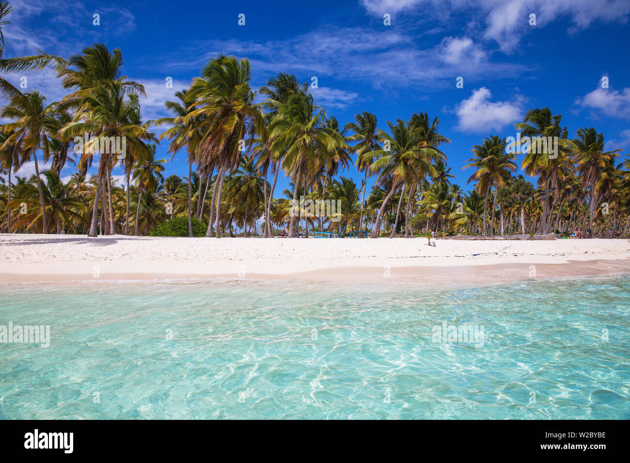 Dominikanische Republik, Punta Cana, Parque Nacional del Este, Saona, Canto de la Playa Stockfoto