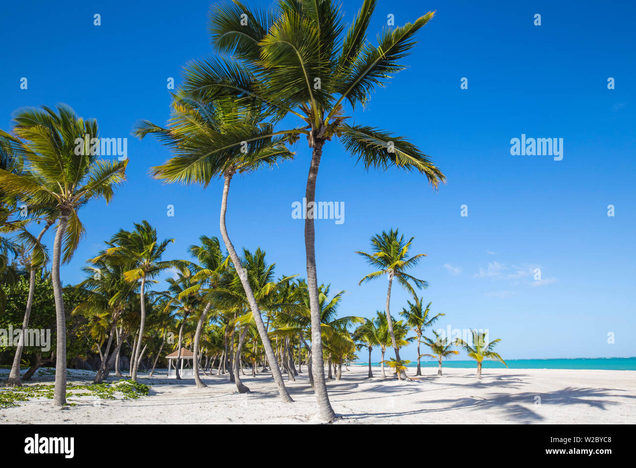 Dominikanische Republik, Punta Cana, Punta Cana und Juanillo Beach Stockfoto