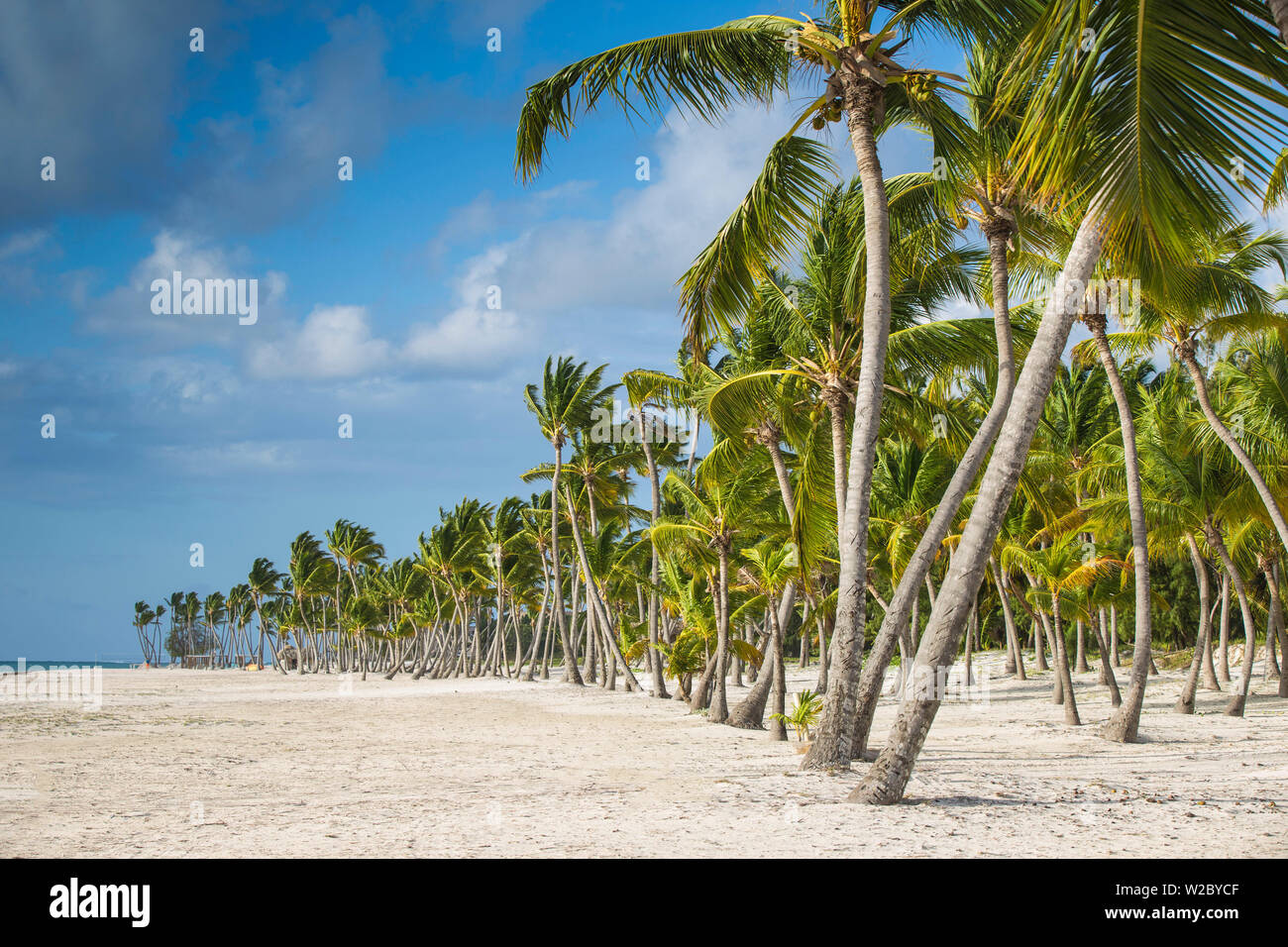 Dominikanische Republik, Punta Cana, Punta Cana und Juanillo Beach Stockfoto