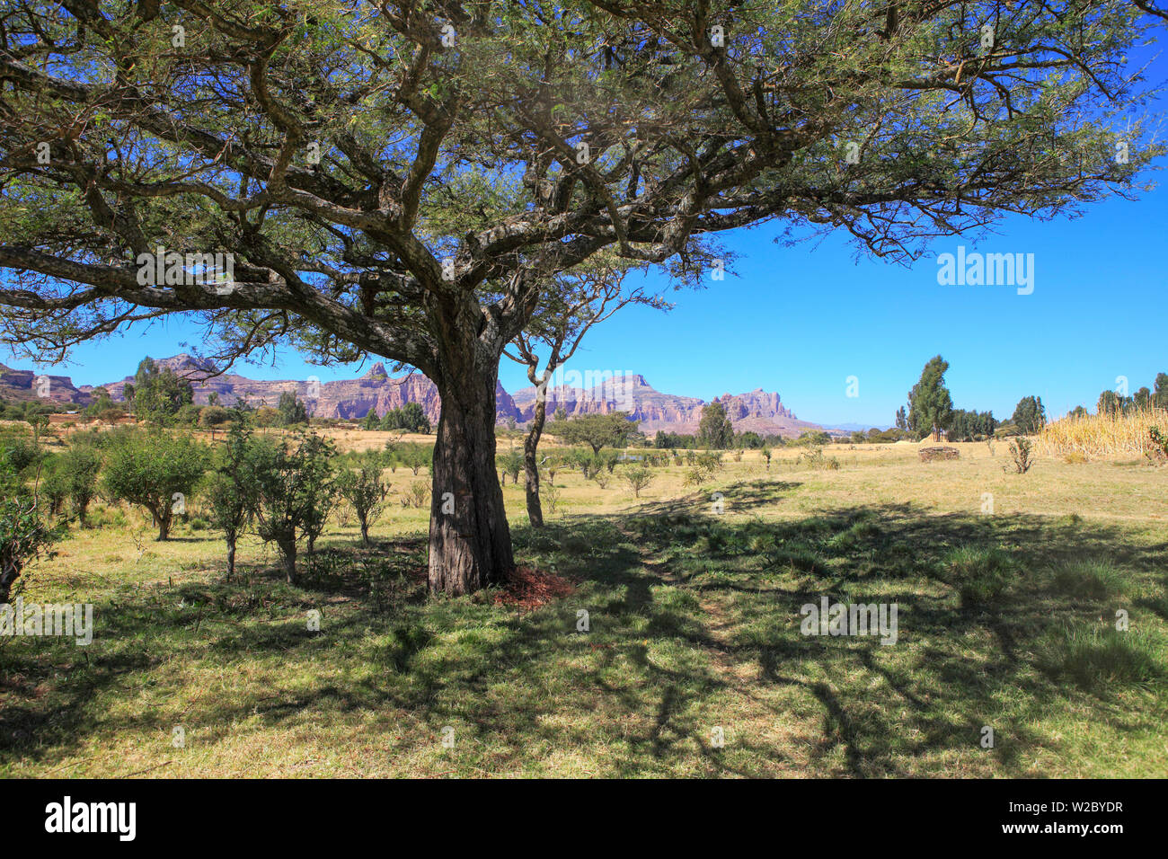 Geraltä Berge, Degum-Dorf, Region Tigray, Äthiopien Stockfoto