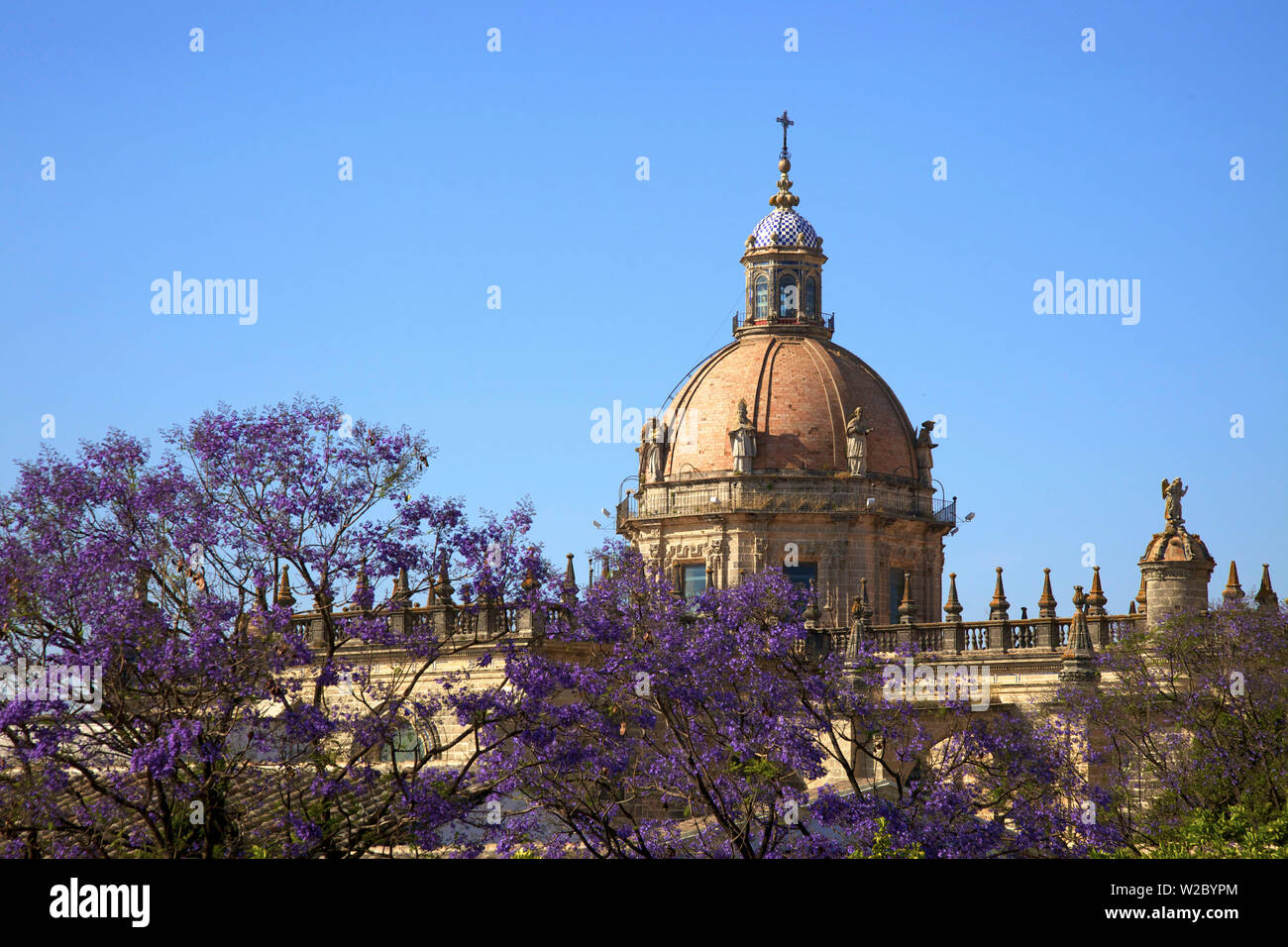 Die Kathedrale von San Salvador mit blühende Jacaranda-Bäume, Provinz Cadiz, Jerez De La Frontera, Andalusien, Spanien Stockfoto