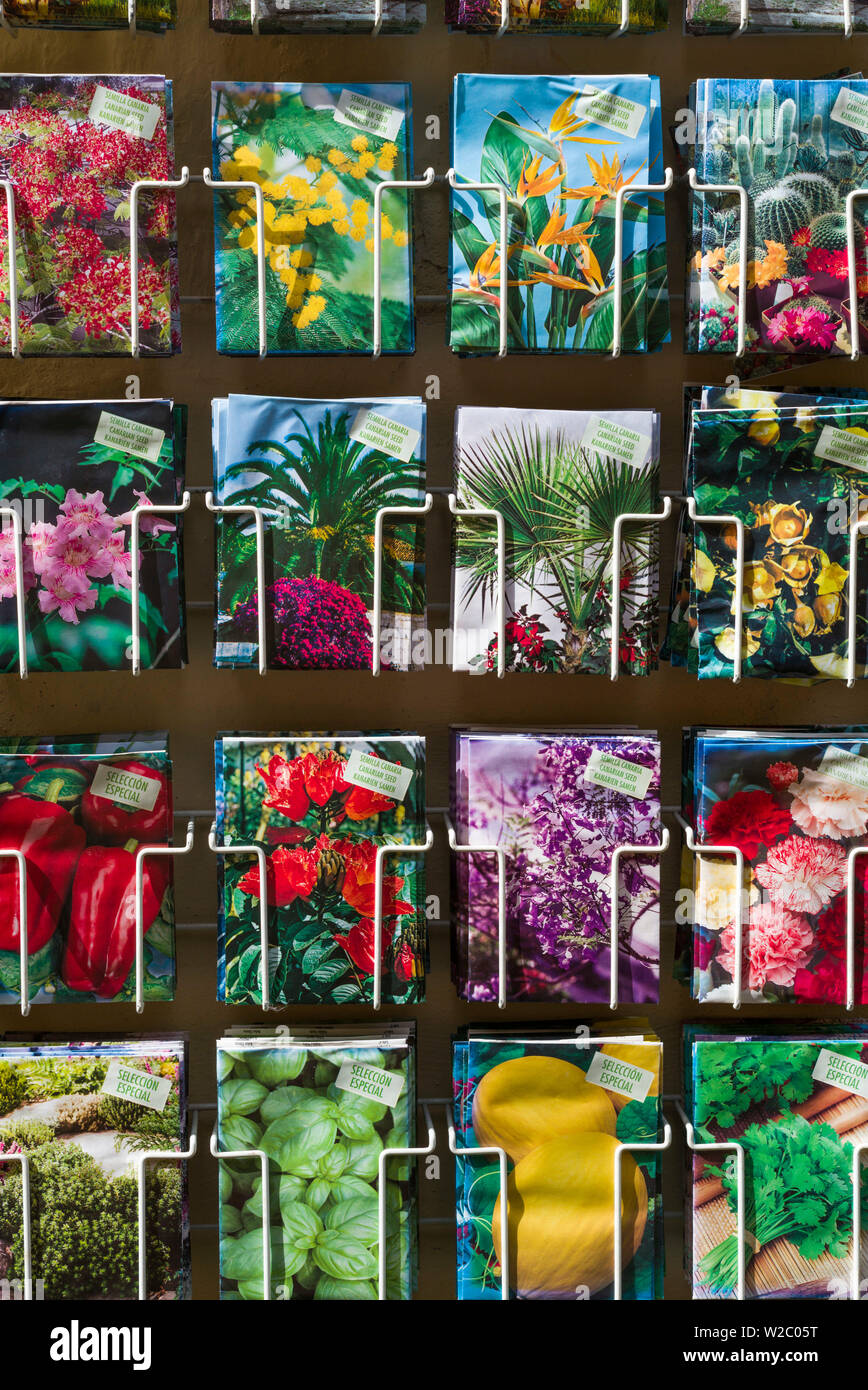 Spanien, Kanarische Inseln, Teneriffa, Icod de los Vinos, Blumensamen für Verkauf Stockfoto
