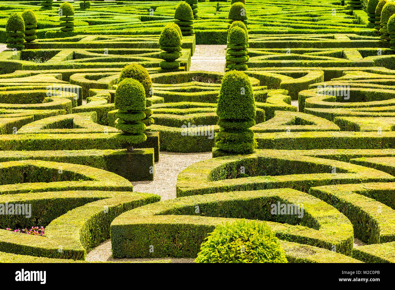 Formale Gärten, Schloss Villandry, Indre et Loire, Loire Tal, Frankreich Stockfoto