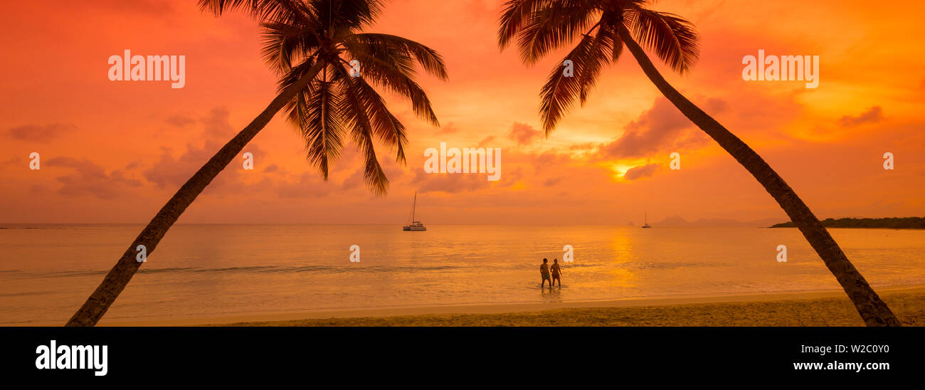 Karibik, Martinique, Sainte Anne, Grande Anse des Salines Stockfoto