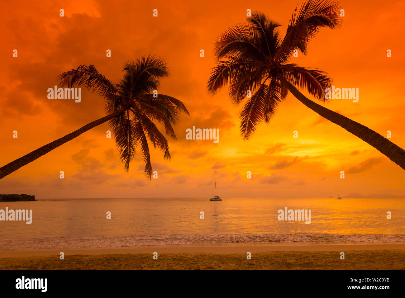 Karibik, Martinique, Sainte Anne, Grande Anse des Salines Stockfoto