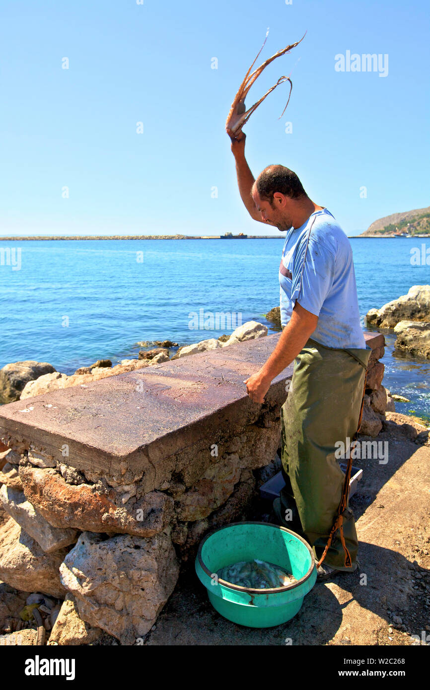Mann Tenderising Octopus im Hafen Pothia, Kalymnos, Dodekanes, griechische Inseln, Griechenland, Europa Stockfoto