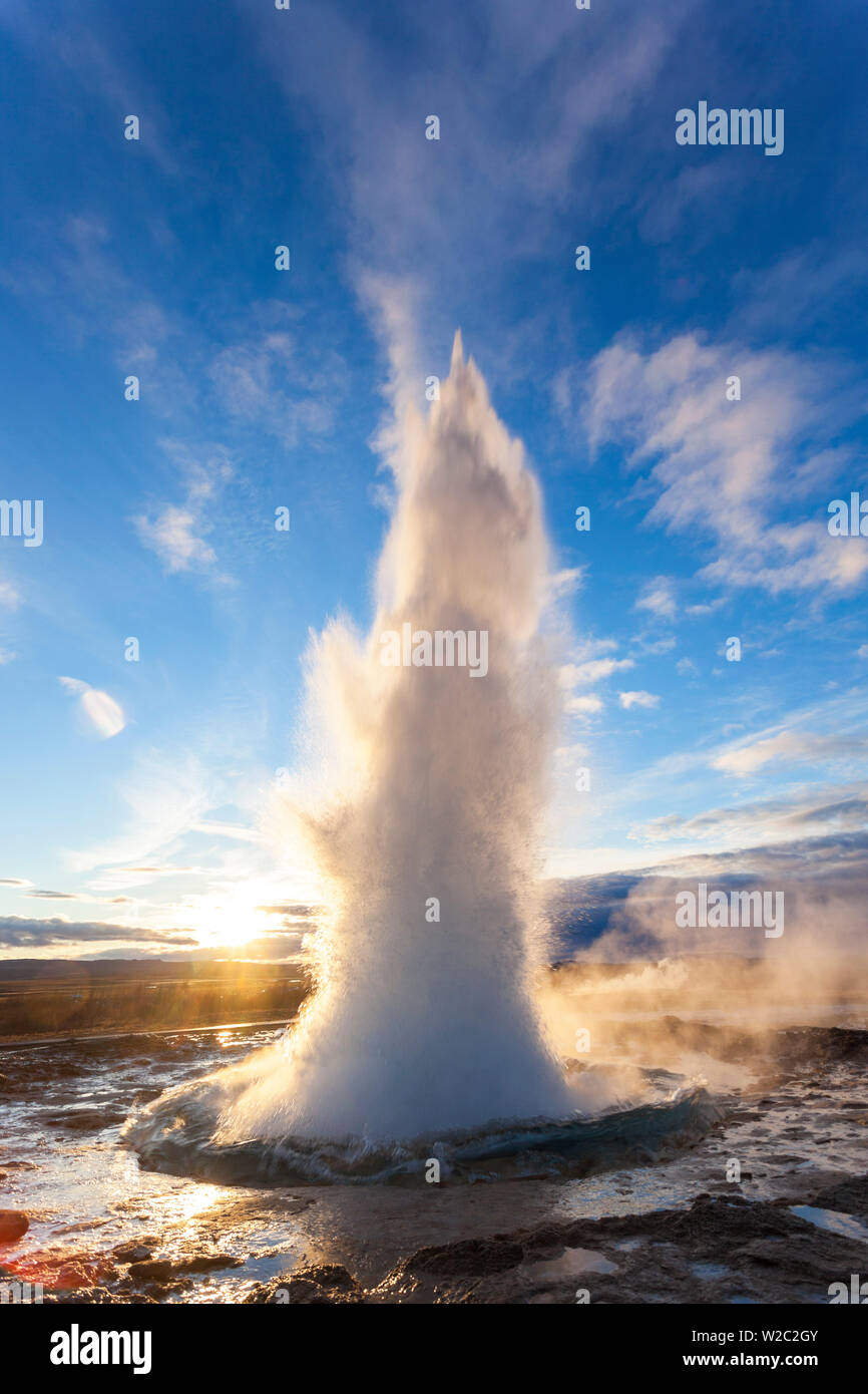 Strokkur (Butterfass), Geysir, Golden Circle, Island Stockfoto