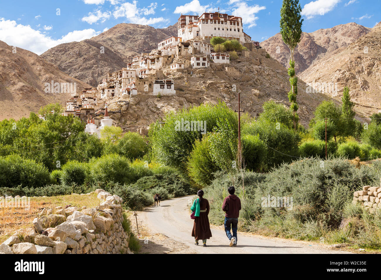 Kloster Chemre oder Chemrey, nr Leh, Ladakh, Indien Stockfoto
