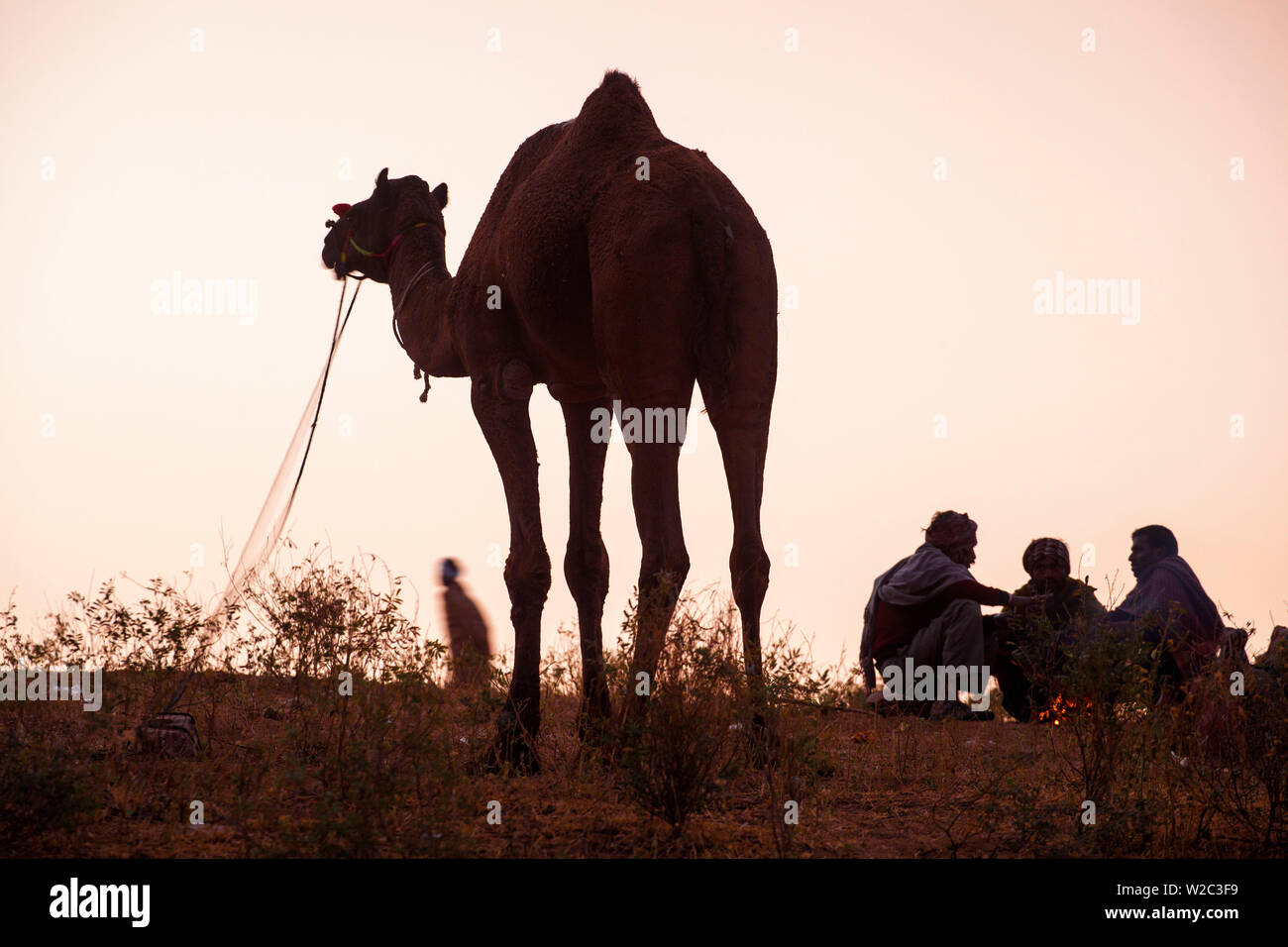 Indien, Rajasthan, Pushkar, Kamel Händler gepresst runde Lagerfeuer in Pushkar Camel Fair Stockfoto