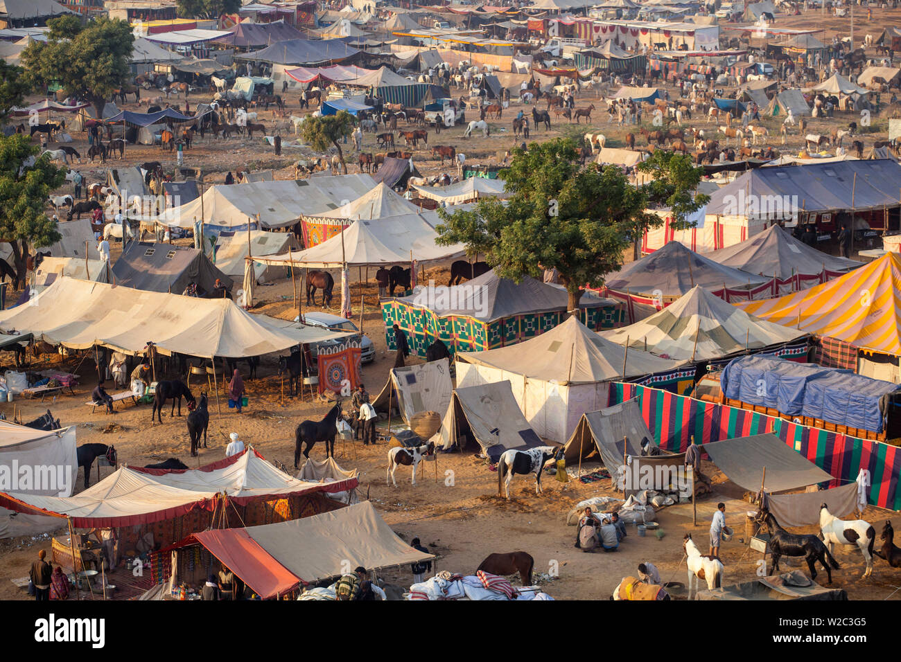 Indien, Rajasthan, Pushkar, Ansicht von Pushkar Camel Fair Stockfoto
