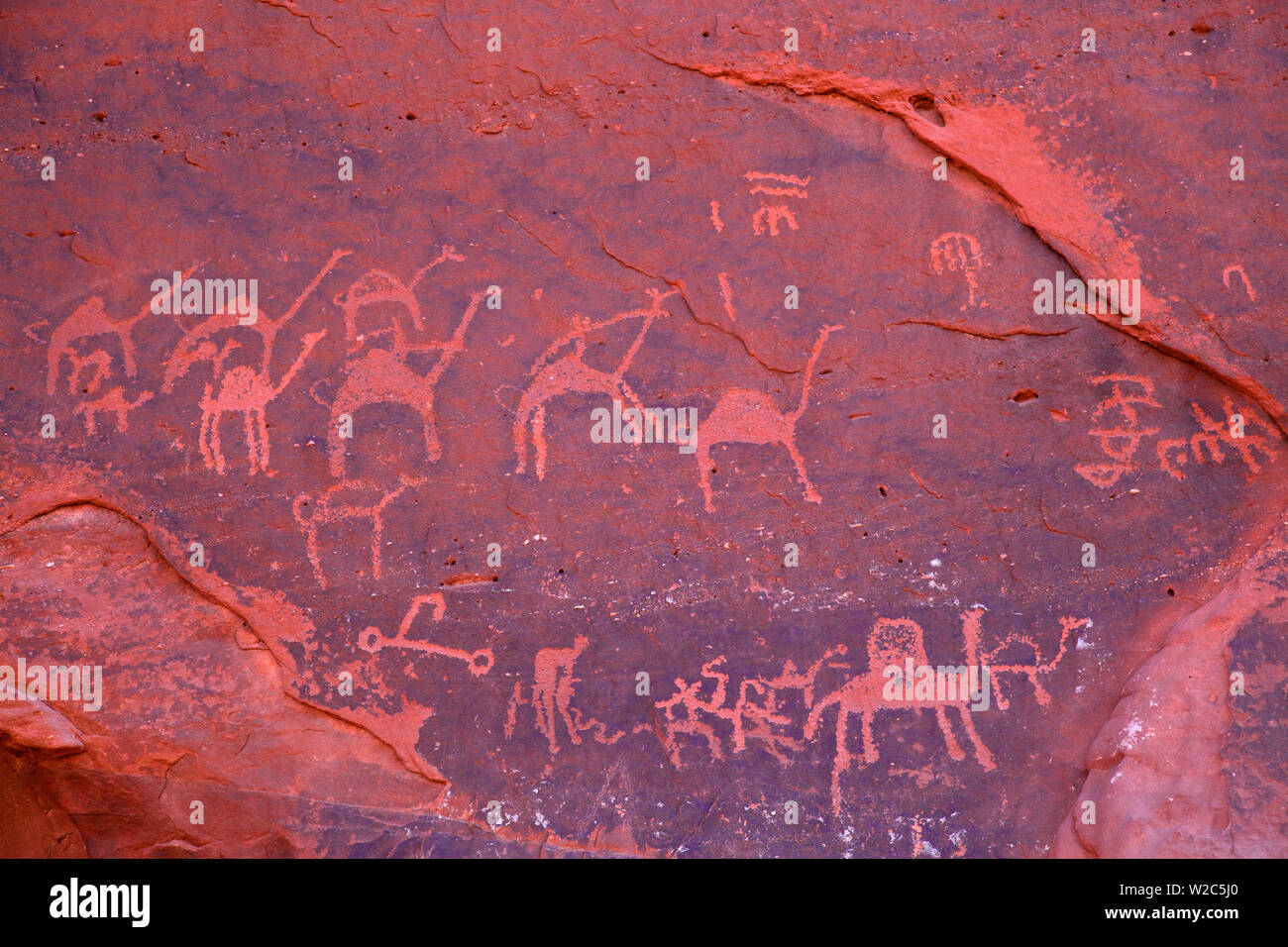 Felsmalereien, Wadi Rum, Jordanien, Naher Osten Stockfoto