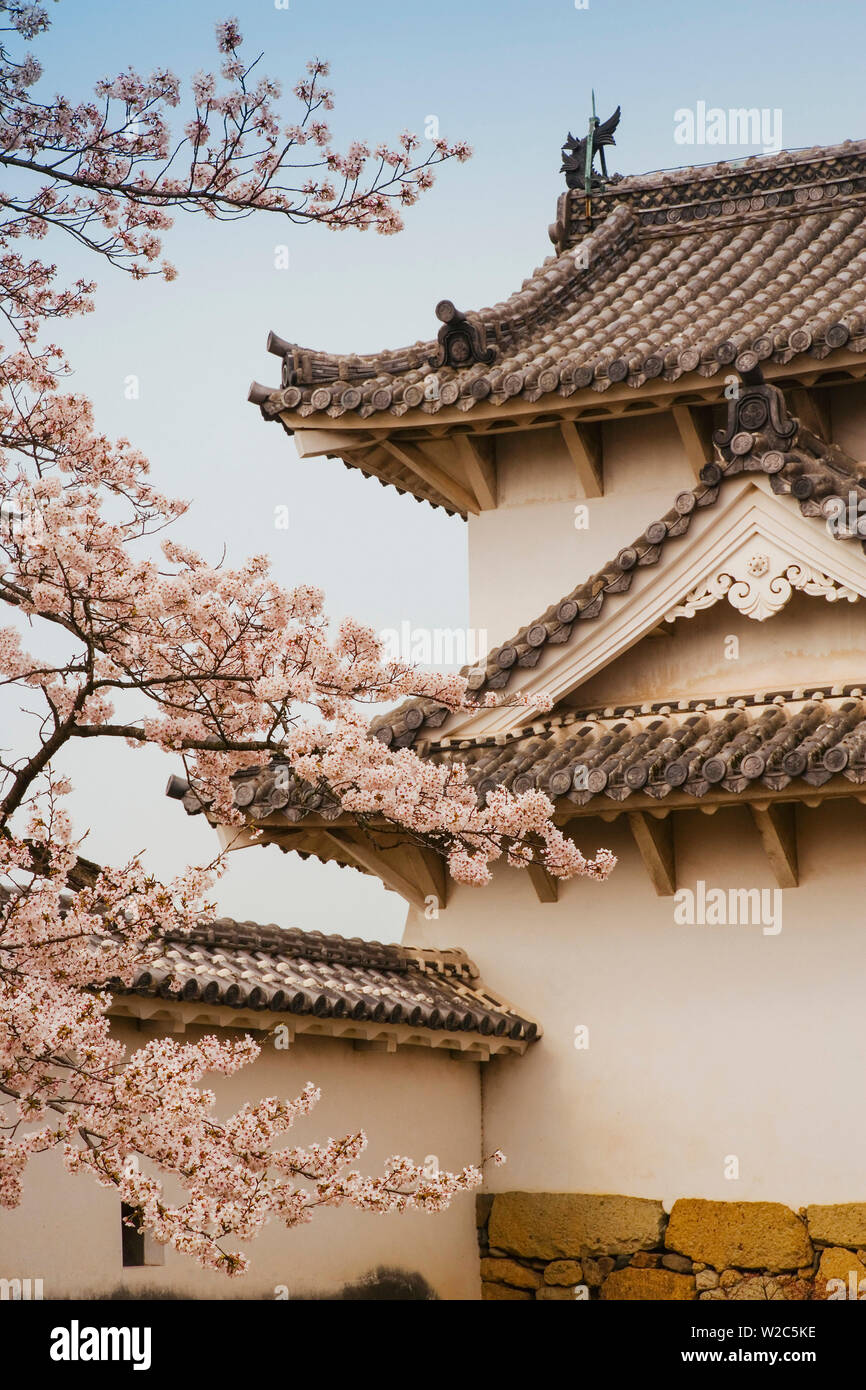 Asien, Japan, Honshu, Kansai Region, Himeji, Hemeji Castle, Hemeji-jo auch bekannt als Shirasagi die 'Weiße Reiher', die Kirschblüte (Sakura) in den Schlosspark Stockfoto