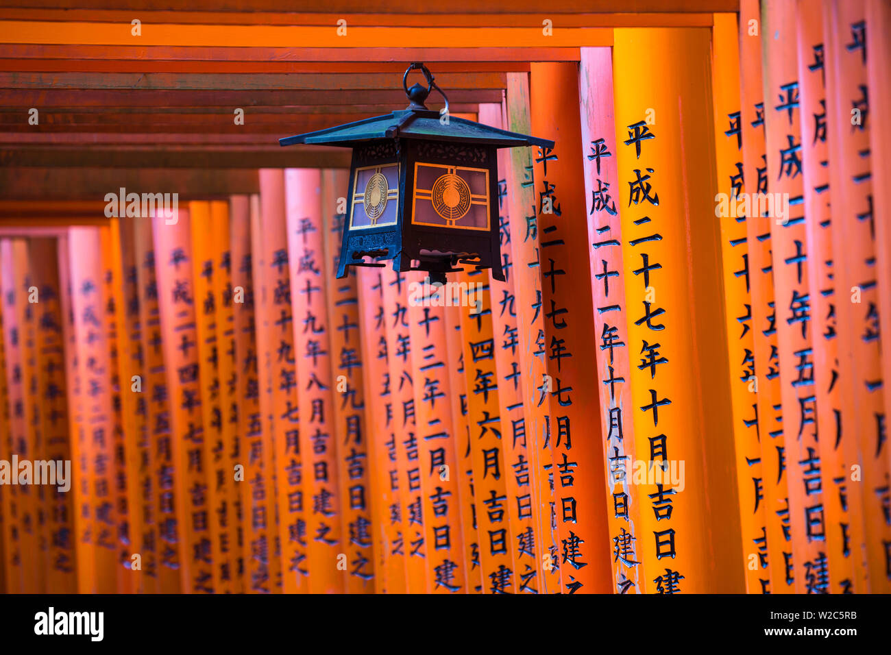 Japan, Kyoto, Fushimi Inari Schrein, Zinnoberrot torii Tore, gespendet und von Unternehmen und einzelnen eingeschrieben Stockfoto